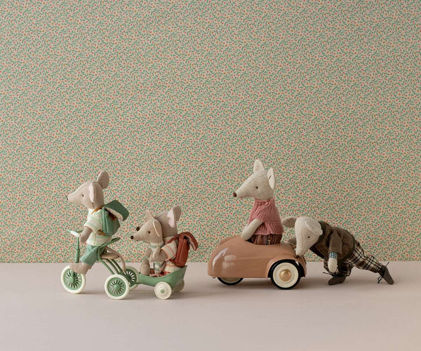 Abri a tricycle, Mouse | Green