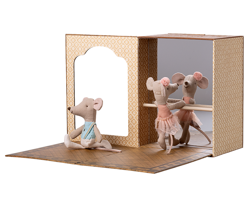 Ballet mice in dance studio | Little sister and brother