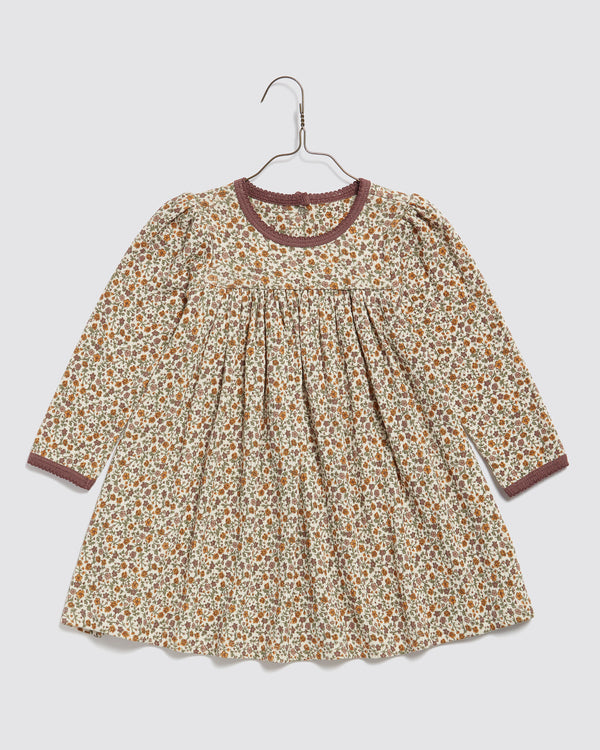 little cotton clothes maya dress Organic Cotton Maya Dress  Lover