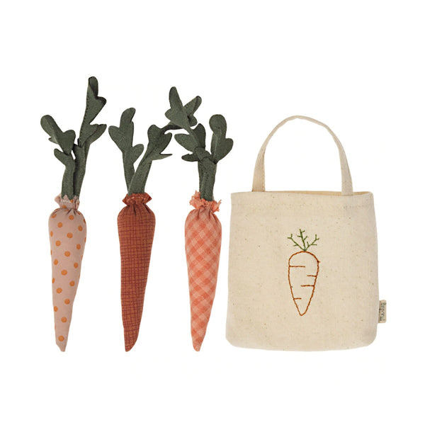 Carrots in shopping bag