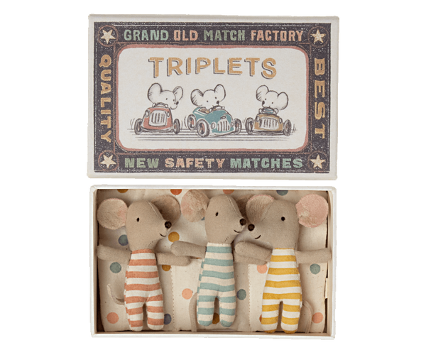 Triplets | Baby mice in matchbox