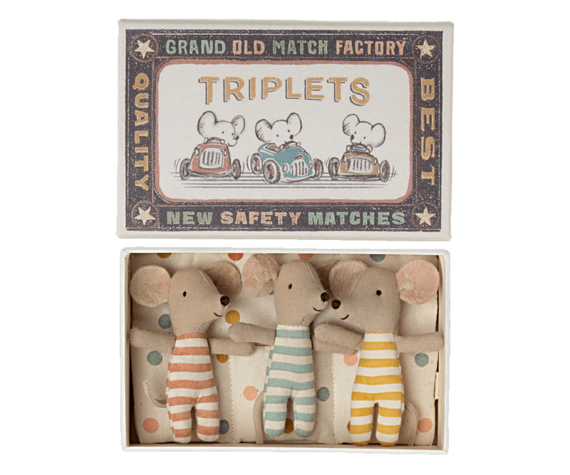 Triplets | Baby mice in matchbox
