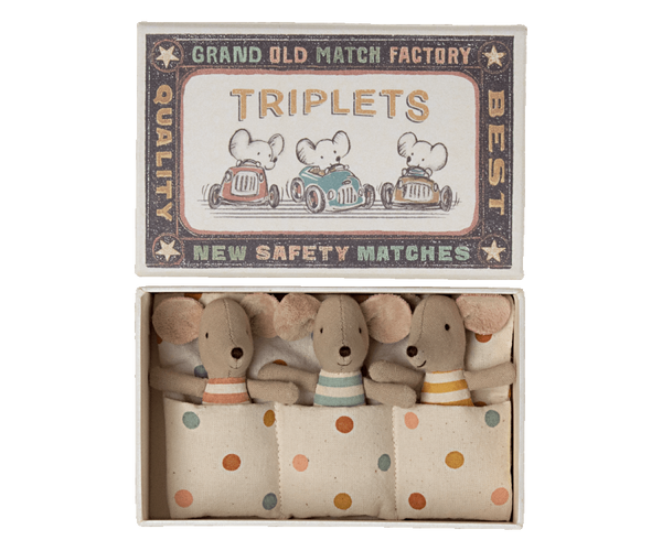 Triplets | Baby mice in matchbox